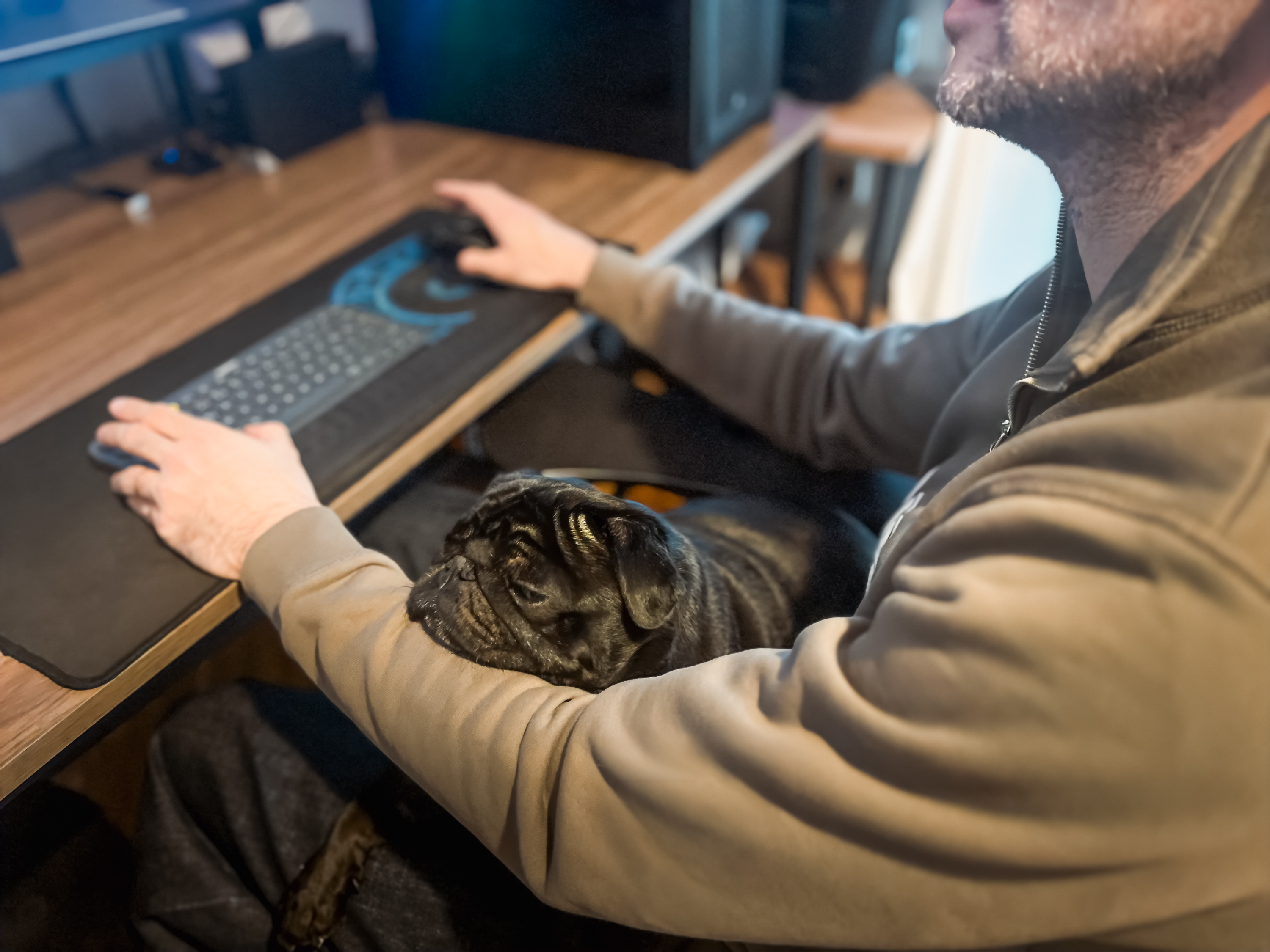 Close view of Serhan Yorganci's hands on keyboard and mouse with his black pug nestled in the crook of his arm